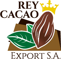 Rey Cacao Export